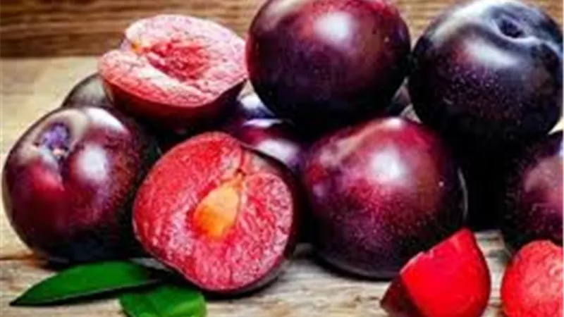 فوائد البرقوق الأحمر.. فاكهة صيفية لذيذة وفوائد صحية مذهلة