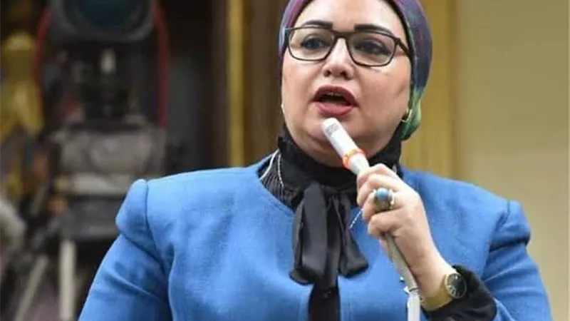 سولاف درويش: كلمة السيسي أكدت أن وحدة المصريين أقوى من كل التحديات