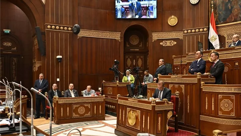 بالتزامن مع إعلان جدول انتخابات مجلس الشيوخ الزمني.. إليك أبرز شروط الترشح؟