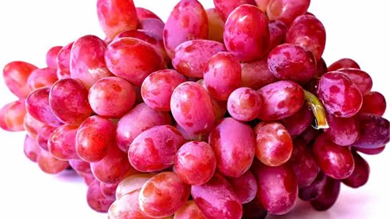 فوائد العنب الأحمر..غني بمضادات الأكسدة ويدعم صحة القلب