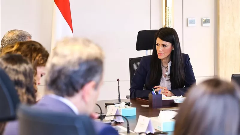 المشاط تبحث مع 