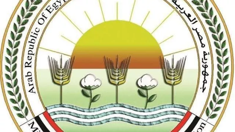 الزراعة تطلق حملة قومية لتحصين الماشية ضد مرضي الحمى القلاعية والوادي المتصدع