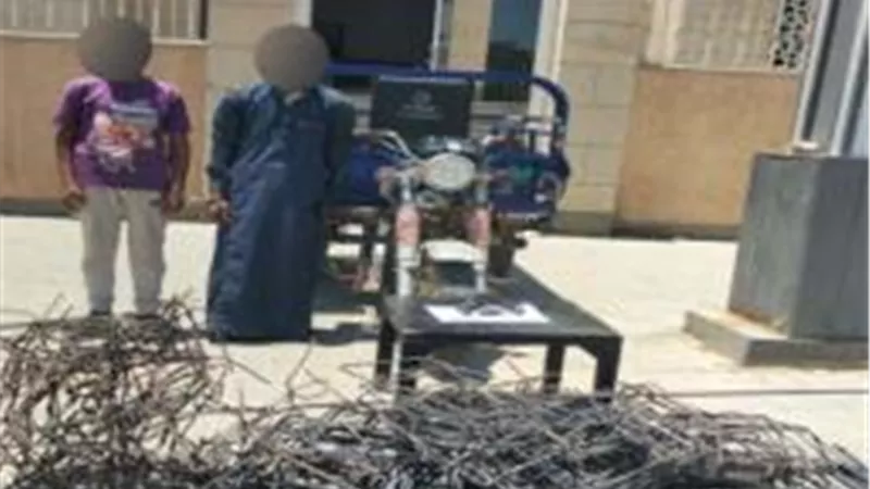 حملات 