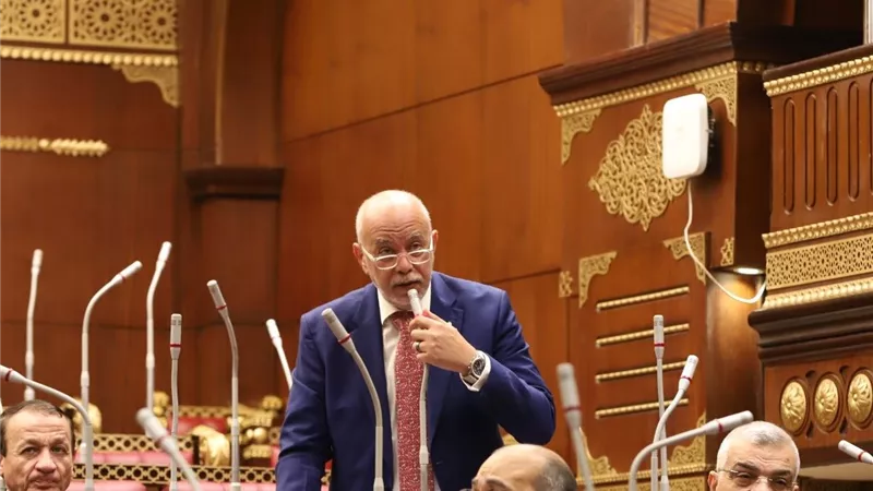 عضو بمجلس الشيوخ: كلمة الرئيس السيسي في القمة الأفريقية أكدت أن مصر تطرح دائمًا حلولًا قابلة للتطبيق
