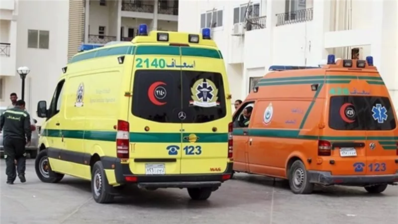 إصابة أسرة كاملة في تصادم مروع بطريق القاهرة – الفيوم الصحراوي