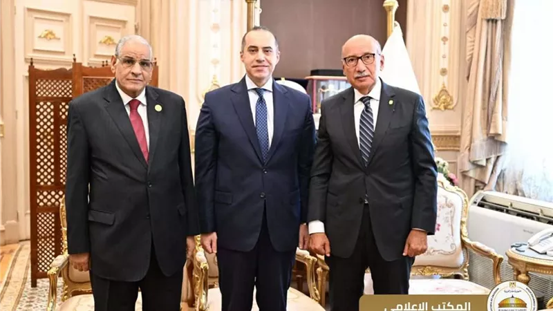 محمود فوزي يلتقي رئيس محكمة النقض ومجلس القضاء الأعلى لتهنئته بالمنصب