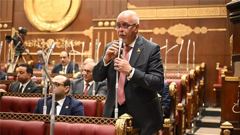 برلماني: «حياة كريمة» نموذج وطني متكامل لترسيخ العدالة الاجتماعية وبناء الإنسان