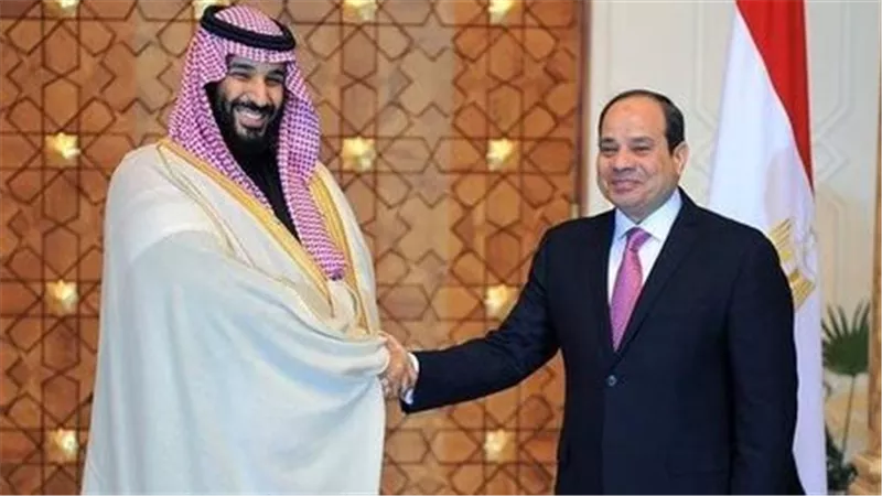 قمة مصرية سعودية مرتقبة.. السيسي وولي العهد السعودي يبحثان تعزيز العلاقات والتطورات الإقليمية غدا