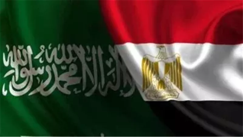35 مليار دولار استثمارات.. خبير اقتصادي: الشراكة بين مصر والسعودية جناحي التنمية للوطن العربي