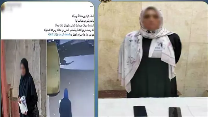 ضبط سيدة لسرقة هاتفين من داخل محل بأسلوب «المغافلة» في القليوبية