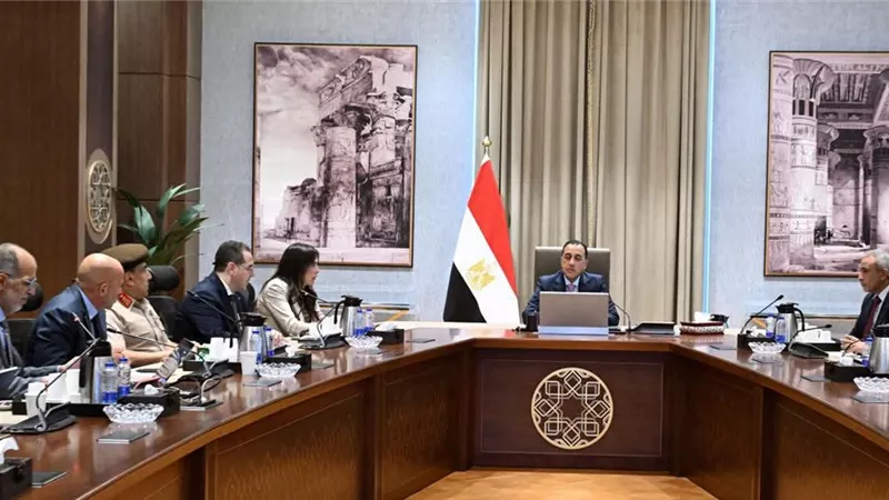 رئيس الوزراء يبحث تطورات أحد المشروعات الكبرى بمدينة العلمين الجديدة