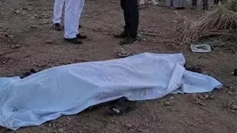 تفاصيل مصرع شاب صعقًا بالكهرباء داخل شونة أخشاب بالدقهلية