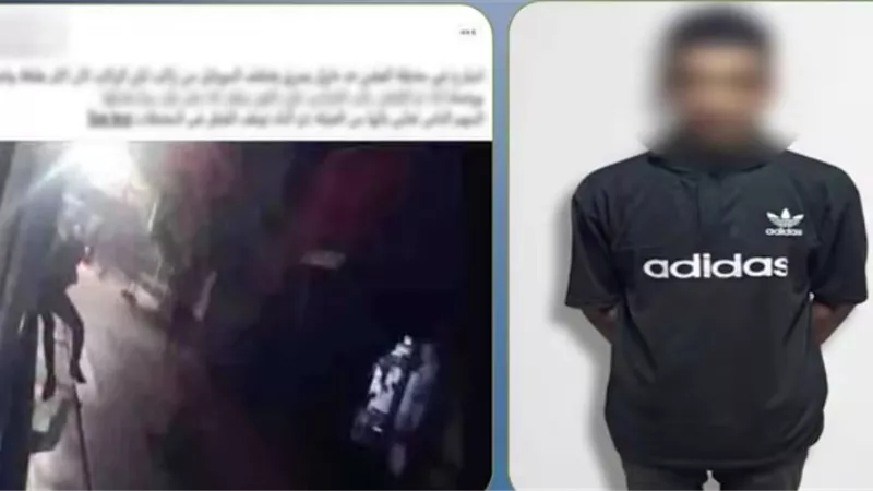 «تعلق بقطار وحاول خطف هاتف».. ضبط عنصر جنائي ظهر في فيديو متداول بمحطة الفشن