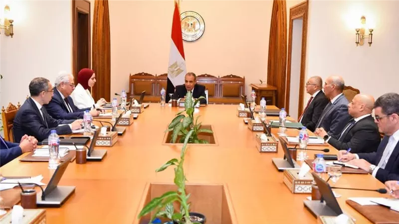 وزير الخارجية يعقد اجتماعًا مع الأمانة التنفيذية لإزالة الألغام  