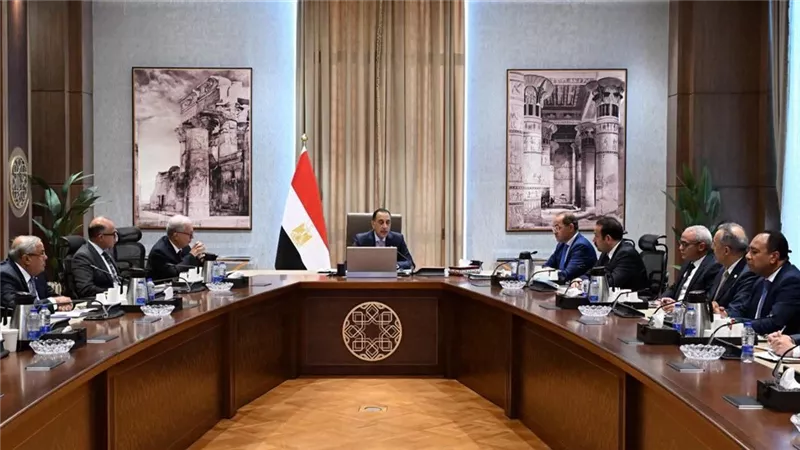 إعادة الهيكلة وإدارة اصول الدولة.. تفاصيل لقاء مدبولي مع مسئولي الشركات القابضة