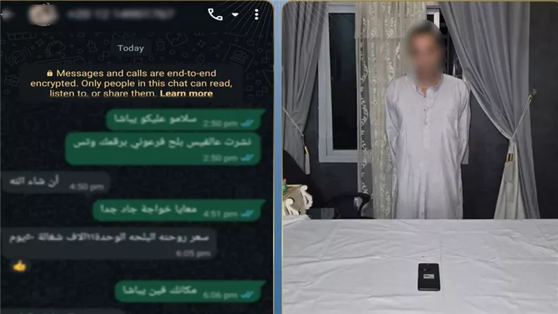 «الداخلية» تضبط نصابًا أدار صفحة لبيع آثار وهمية عبر الإنترنت