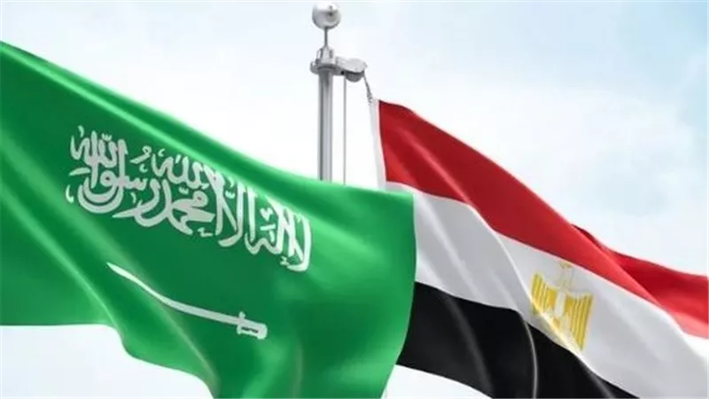 خبير اقتصادي: الصادرات المصرية غير النفطية للسعودية تتجاوز 6.5 مليار دولار 