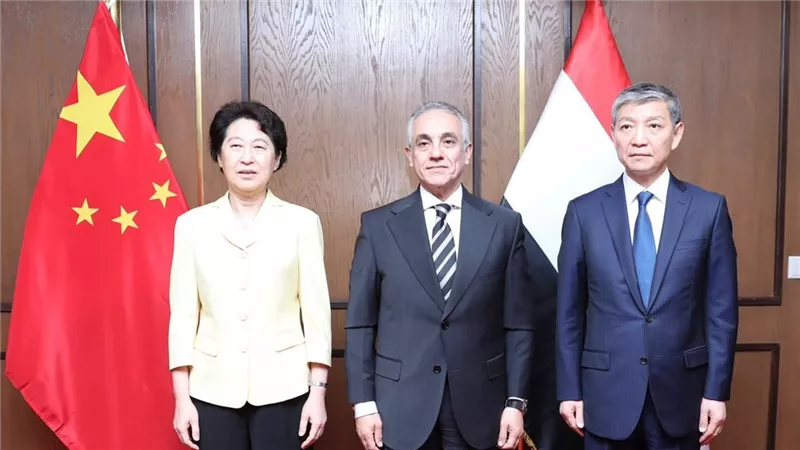وزير العدل يستقبل وفدًا صينيًا رفيع المستوى لتعزيز التعاون القضائي والقانوني