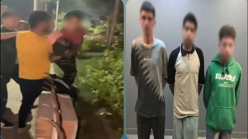 ضبط 3 عاطلين بتهمة معاكسة فتاة والتعدي عليها بالضرب وإتلاف هاتفها في طنطا