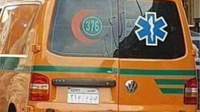   «أمي بتموت.. محتاجة تتنقل القاهرة».. القصة الكاملة لاستغاثة شاب من البحيرة لعلاج والدته