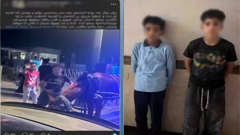 القبض على طالبين لتلويحهما بإشارات خادشة للحياء تجاه المارة في بولاق
