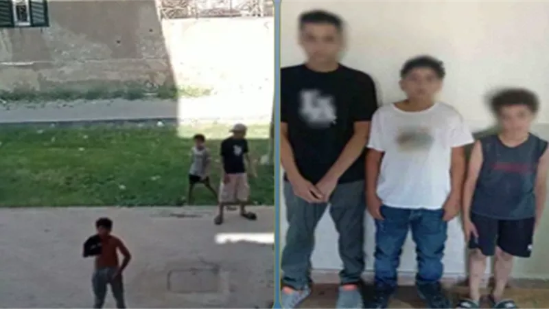 بعد انتشار الفيديو.. ضبط 3 طلاب رشقوا مسكن سيدة بالحجارة في أكتوبر 