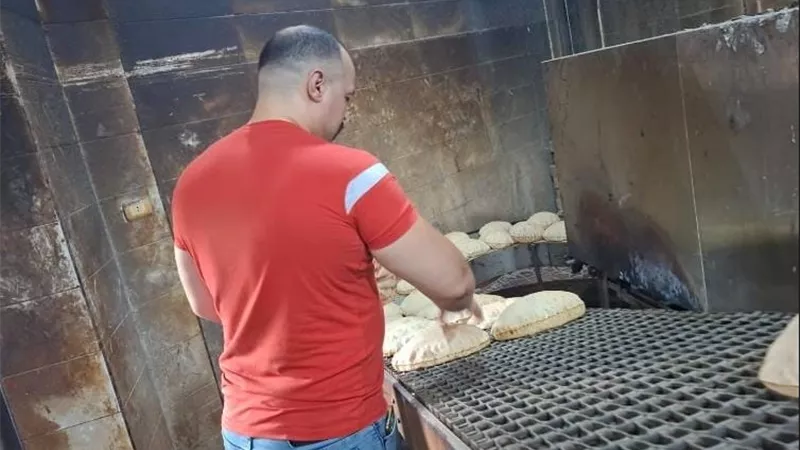 تموين البحيرة يحرر 18 محضرًا لمخابز مخالفة في المحمودية ورشيد