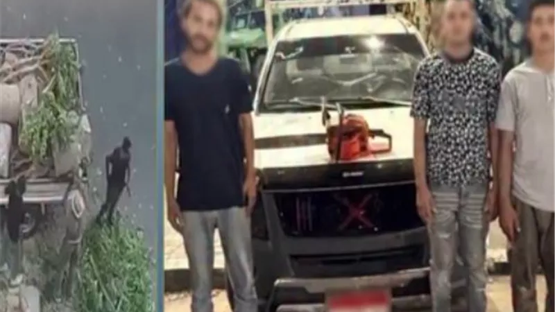 ضبط 4 أشخاص لاتهامهم بتقطيع أشجار وتحميلها على سيارة ربع نقل بالإسكندرية