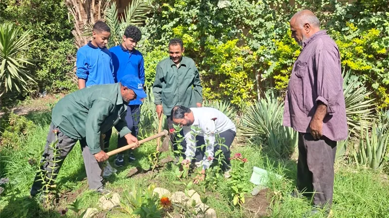 طلاب مدارس الجيزة يشاركون في زراعة الأشجار ضمن مبادرة «اتحضر للأخضر»