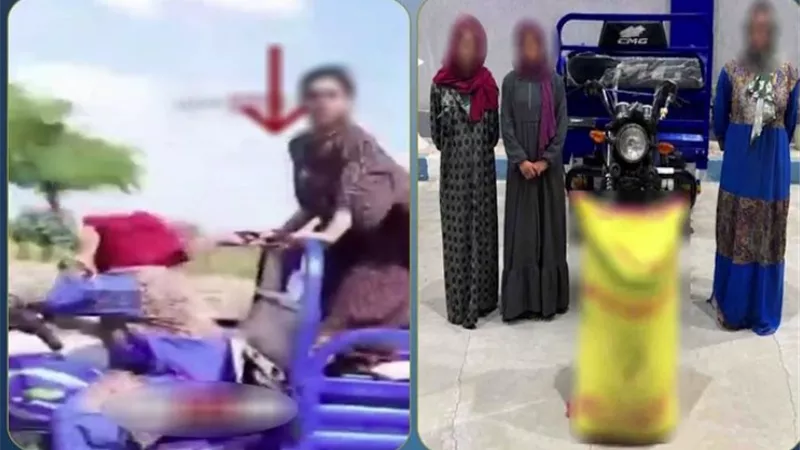 ضبط 3 سيدات لسرقة أجولة أرز من أرض زراعية بالشرقية