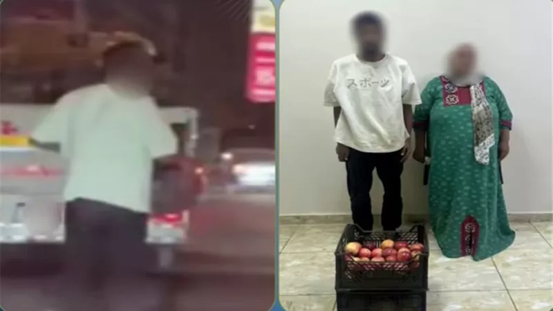 فيديو يكشف سرقة حمولة ربع نقل بالقليوبية.. ضبط المتهم واستعادة المسروقات