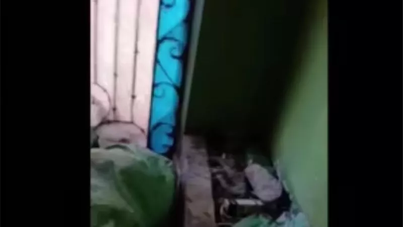 كشف حقيقة فيديو مشاجرة بين جيران بسبب لهو الأطفال في الدقهلية