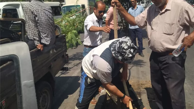بالصور.. أعمال تشجير وزراعة جديدة بشوارع الدقي ضمن مبادرة «اتحضر للأخضر»