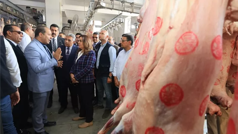 وزيرة التنمية المحلية ومحافظ الدقهلية يفتتحان أعمال تطوير مجزر بلقاس