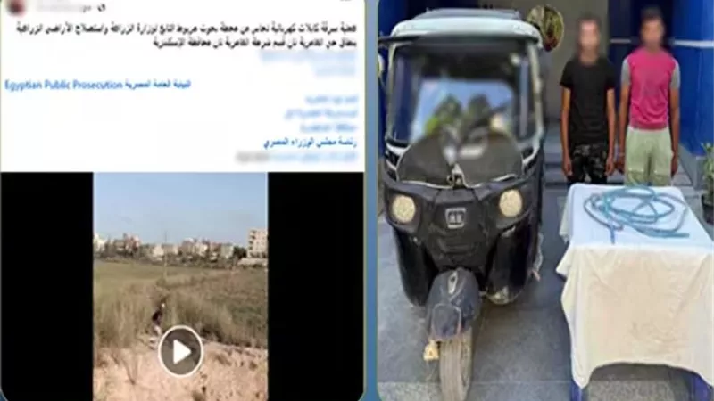 ضبط عامل خردة وسائق توك توك لسرقة سلك كهرباء من محطة البحوث الزراعية بمريوط