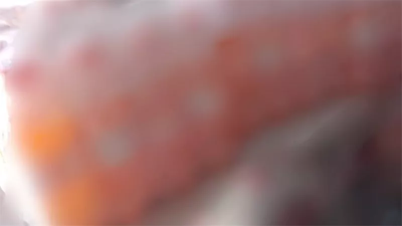ضبط 13 ألفًا و200 عبوة مشروبات وعصائر غير صالحة للاستهلاك الآدمي بسوهاج