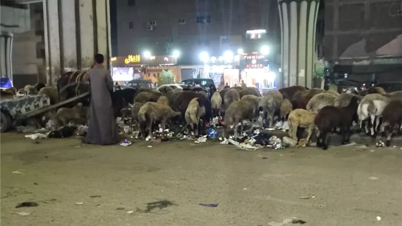 بعد جولة في «عزبة خيزة».. هل رئيس حي المنيرة الغربية فوق الحساب؟