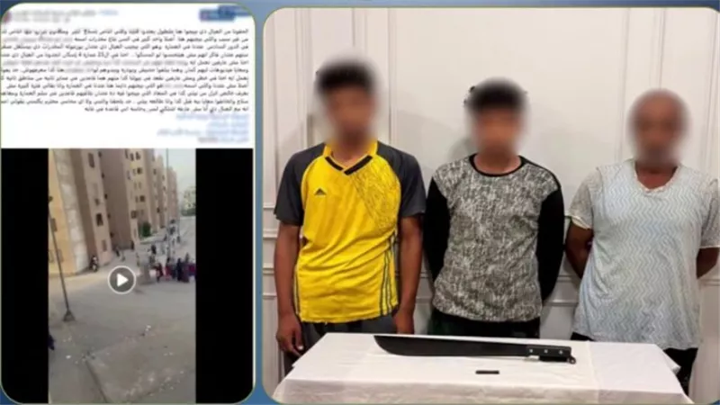 ضبط عامل ونجليه بعد حيازتهم حشيشًا وسلاحًا أبيض والتعدي على سيدة بالمنوفية