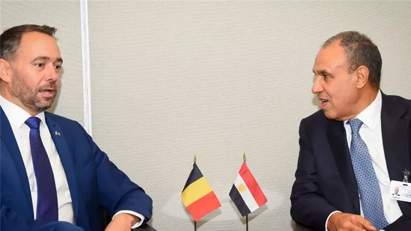 وزير الخارجية يلتقي نظيره البلجيكي على هامش أعمال الشق رفيع المستوى بنيويورك