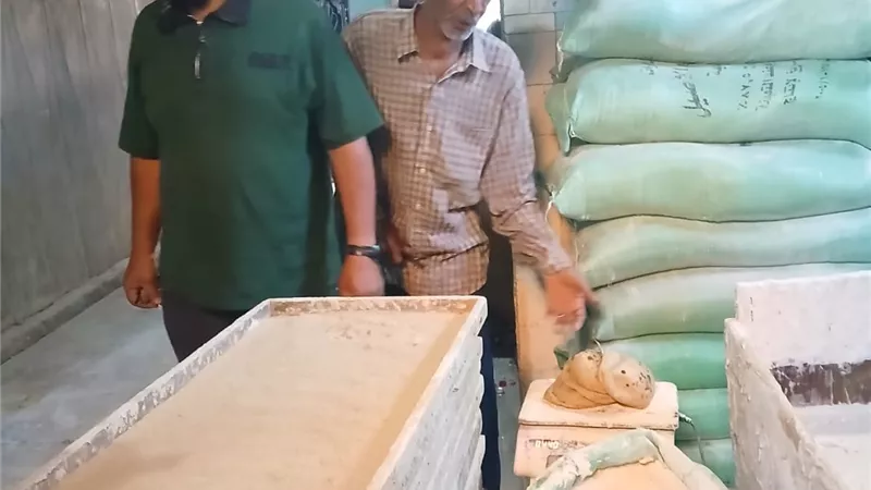 تموين الإسماعيلية يحرر 99 مخالفة خلال حملات رقابية على المخابز والأسواق