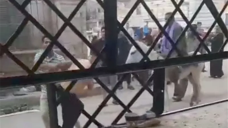 أسلحة بيضاء واعتداء على مخبز بلدي بسمالوط.. فيديو يوثق الواقعة