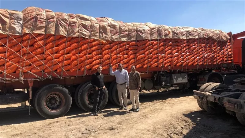 ضبط 60 طن سماد نترات نشادر مدعم قبل تهريبها للسوق السوداء بالفيوم