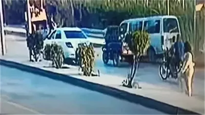 تأييد حبس سائق حادث كورنيش المعصرة بعد وفاة شخصين وإصابة 11