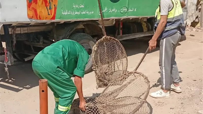 استجابة لشكاوى المواطنين.. حملات مكثفة لمواجهة الكلاب الضالة في الدقهلية