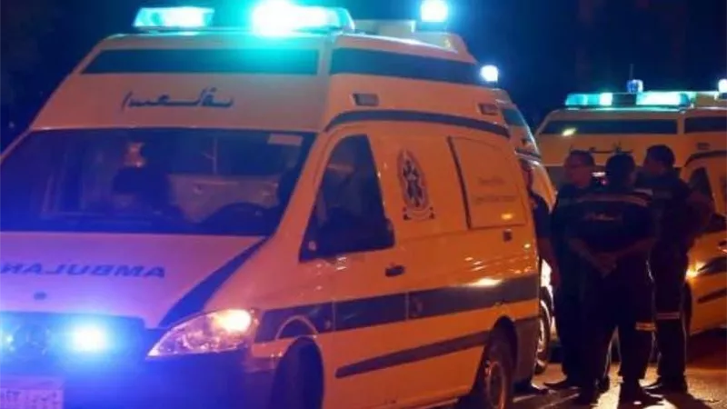 مصرع شخص على يد شقيقه في مشاجرة بسبب خلافات عائلية بقرية محلة الأمير في رشيد