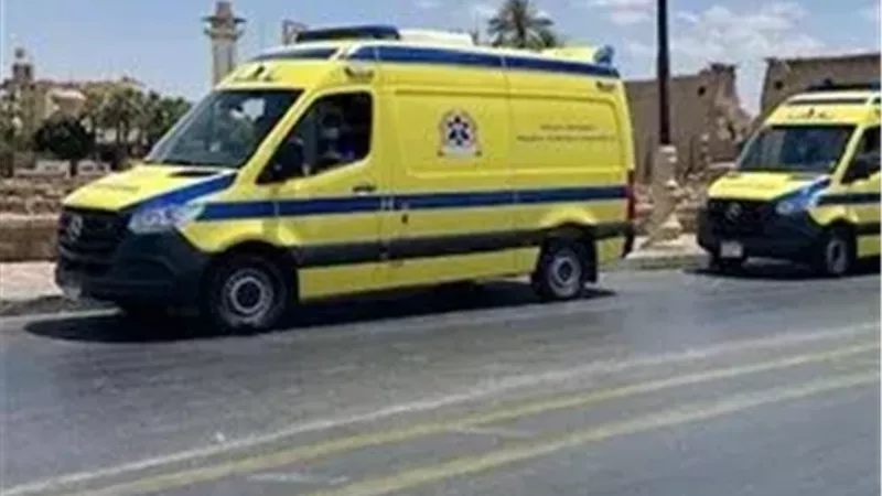 إصابة 4 أشخاص في انقلاب سيارة ربع نقل بالأقصر