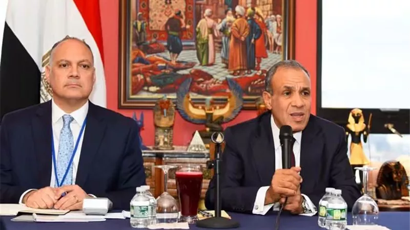 دعم الكفاءات بالخارج.. تفاصيل لقاء وزير الخارجية وأبناء الجالية المصرية في نيويورك