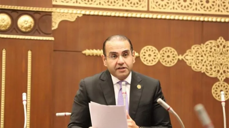 «مرصد إلكتروني».. مقترحات برلمانية لمواجهة السلع مجهولة المصدر 