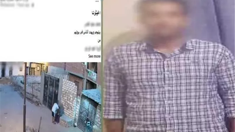 ضبط عامل بتهمة التعدي على سيدة والتشهير بها في البحيرة