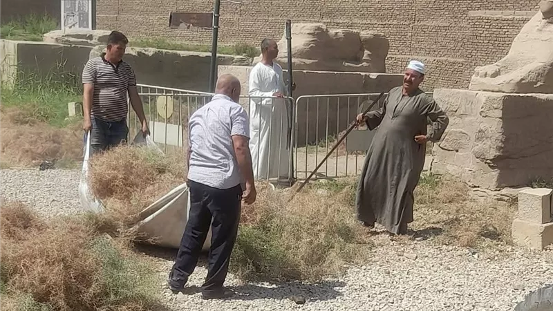 طريق الكباش يتزين بحملات نظافة دورية للحفاظ على رونقه الأثري والحضاري